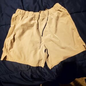 Hollister Men's Beige Athletic Shorts